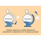Барометр TAKE IT EASY «Глобус», 15×9 см - Фото 2