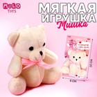 Мягкая игрушка «Ты сумасшествие с первого взгляда», медведь, цвета МИКС - фото 10019651