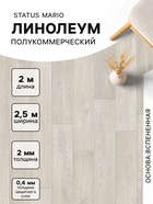 Линолеум полукоммерческий Status Mario 1, ширина 2.5 м, длина 2 м, толщина 2 мм, 5 м² - Фото 1