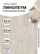 Линолеум полукоммерческий Status Mario 1, ширина 2.5 м, длина 2.5 м, толщина 2 мм, 6.25 м² - Фото 1
