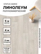 Линолеум полукоммерческий Status Mario 1, ширина 4 м, длина 5 м, толщина 2 мм, 20 м² - Фото 1