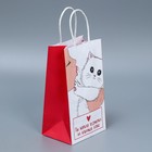 Пакет подарочный крафтовый, упаковка, «Мягкая моя», 12 х 21 х 9 см - Фото 2