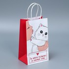 Пакет подарочный крафтовый, упаковка, «Мягкая моя», 12 х 21 х 9 см - Фото 3