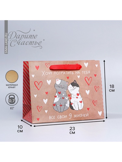 Пакет подарочный крафтовый, упаковка, «Потрачу девять жизней», MS 18×23×8 см