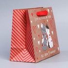 Пакет подарочный крафтовый горизонтальный, упаковка, «Потрачу девять жизней», MS 18 х 23 х 8 см - Фото 2