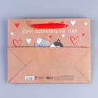 Пакет подарочный крафтовый горизонтальный, упаковка, «Потрачу девять жизней», MS 18 х 23 х 8 см - Фото 4