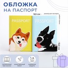 Подарочный набор: 2 обложки для паспорта, цвет жёлтый/голубой - Фото 1