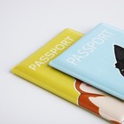Подарочный набор: 2 обложки для паспорта, цвет жёлтый/голубой - Фото 5
