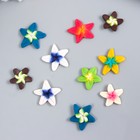 Декор для творчества PVC "Цветок лилия" набор 10 шт МИКС 0,4х1,8х1,8 см - фото 6713860
