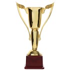 Кубок 181B, наградная фигура, золото, подставка пластик, 28 × 14 × 7 см - фото 10020293