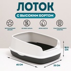 Туалет «Айша» S, 45×35×18.5 см, с высоким бортом, серый - Фото 1