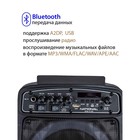 Акустическая система National NSM-V150, 80Вт, MP3/WMA/FLAC/WAV/APE/AAC, цвет чёрный - фото 51457765 Акустическая система National NSM-V150, 80Вт, MP3/WMA/FLAC/WAV/APE/AAC, цвет чёрный - фото 51457765