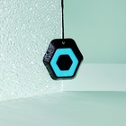 Ароматизатор подвесной Hexagon, орхидея 9316039 - фото 16934442