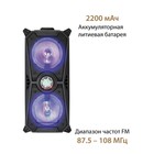 Акустическая система National NSM-V350, 100Вт, MP3/WMA/FLAC/WAV/APE/AAC, цвет чёрный - фото 51457780 Акустическая система National NSM-V350, 100Вт, MP3/WMA/FLAC/WAV/APE/AAC, цвет чёрный - фото 51457780