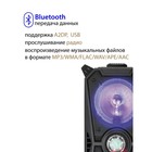 Акустическая система National NSM-V350, 100Вт, MP3/WMA/FLAC/WAV/APE/AAC, цвет чёрный - фото 51457781 Акустическая система National NSM-V350, 100Вт, MP3/WMA/FLAC/WAV/APE/AAC, цвет чёрный - фото 51457781