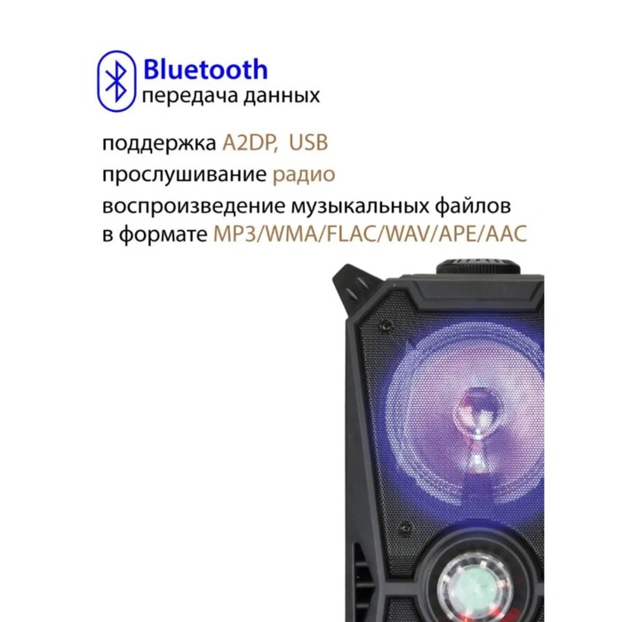 Акустическая система National NSM-V350, 100Вт, MP3/WMA/FLAC/WAV/APE/AAC, цвет чёрный - фото 51457781