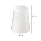 Набор для специй Magistro Crotone, 2 предмета: солонка, перечница, 90 мл, 6×7.5 см, фарфор, белый - Фото 2