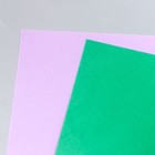 Набор для создания цветов из фоамирана «Глоксиния», (сиреневый, зелёный) 9254050 - фото 16995054
