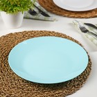 Тарелка плоская Lillie Turquoise, d=25 см, цвет голубой - фото 2789819
