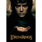 Блокнот "Властелин колец. Фродо", А5, 112 листов - Фото 1