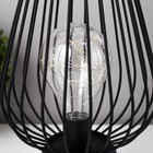 Ночник "Арти" LED от батареек 3хАА черный 15х15х25 см RISALUX - фото 21805515