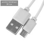 Ночник "Керосиновая лампа" ретро-свеча, LED USB АКБ МИКС 6х6х21 см RISALUX - фото 21805590
