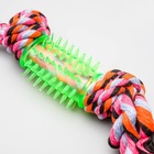 Игрушка канатная «Канат с зубочисткой», тренировочная, до 80 г, до 40 см, МИКС - фото 67922472