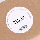 Ароматическая свеча в банке Spring Flowers. Tulip, из соевого воска, 25 ч, 120 мл, тюльпан 9292108 - фото 16589078