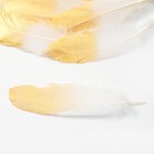 Перья для декора, золото , частичная окраска 13-15 см 10 шт - Фото 2