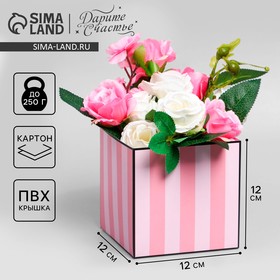 Коробка подарочная для цветов с PVC крышкой, упаковка, «Розовые полосы», 12 х 12 х 12 см