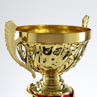 Кубок 155A, наградная фигура, золото, подставка пластик, 39 × 10,5 × 7 см - фото 184402