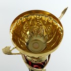 Кубок 155A, наградная фигура, золото, подставка пластик, 39 × 10,5 × 7 см - фото 184403