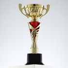 Кубок 155B, наградная фигура, золото, подставка пластик, 35,3 × 18,4 × 10,5 см. - фото 10025728