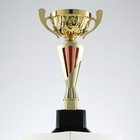 Кубок 155B, наградная фигура, золото, подставка пластик, 36,3 × 18,4 × 10,5 см. - фото 3881582
