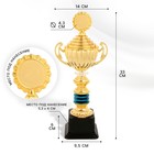 Кубок 176B, наградная фигура, золото, подставка пластик, 33 × 14 × 9,5 см. - фото 9589112