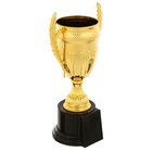 Кубок 179C, наградная фигура, золото, подставка пластик, 17 × 7,5 × 5см - Фото 1