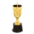 Кубок 179C, наградная фигура, золото, подставка пластик, 17 × 7,5 × 5см - Фото 2