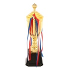 Кубок 180С, наградная фигура, золото, подставка пластик, триколор, 33×12×7 см - Фото 3