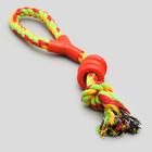 Игрушка тренировочная канатная «Спираль», до 140 г, до 40 см, микс цветов - Фото 5