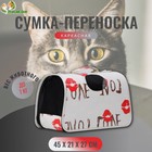 Сумка-переноска каркасная Love, размер М, 45 х 21 х 27 см,  микс цветов - Фото 1