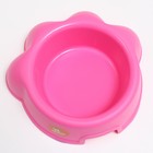 Миска пластиковая фигурная 26,5 х 24 х 8,5 см, розовая - фото 7225004