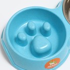 Миска двойная для медленного кормления 30,5 х 17 х 5 см, голубая - фото 24726473