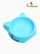Миска «Кошачьи ушки» 200 мл, 15×3.7 см, пластик, голубая - Фото 1