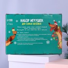 Набор мячей для собак «Для самых весёлых пёселей», 5 мячей 9098277 - фото 16622621