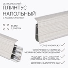 Плинтус напольный «Деконика», 55×2200 мм, цвет 253 ясень серый - Фото 1