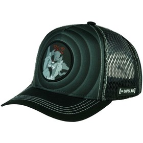 

Бейсболка унисекс CAPSLAB Looney Tunes Taz (88-213-09-00)
