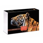 Пазл «Взгляд тигра», 500 элементов - фото 10027013