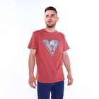 Футболка мужская, цвет кирпичный/принт МИКС, размер 2XL - фото 21808342