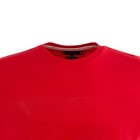 Футболка мужская, цвет красный, принт МИКС, размер L - фото 21809527