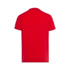 Футболка мужская, цвет красный, принт МИКС, размер L - фото 21809528